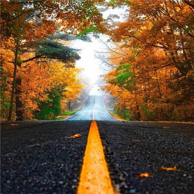 乐鱼娱乐app官网下载