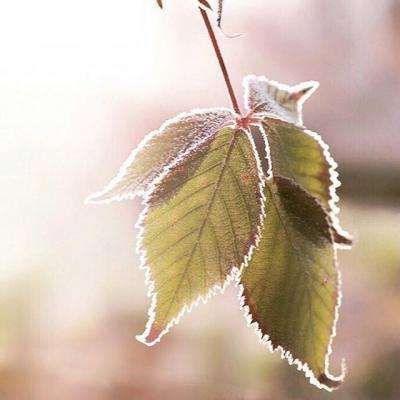 ag娱乐平台游戏中心截图